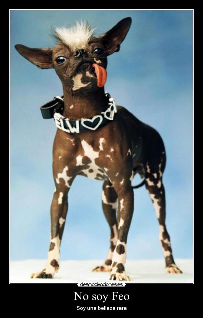 No soy Feo - Soy una belleza rara