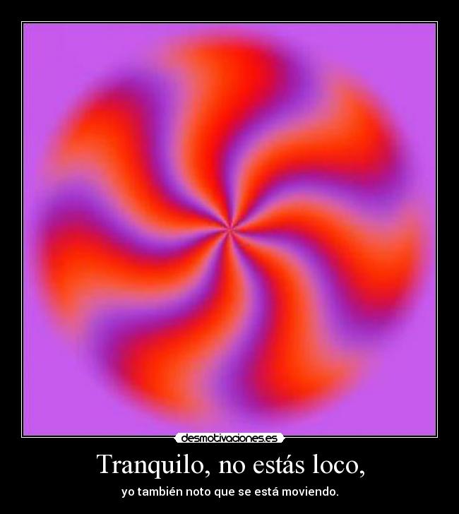 Tranquilo, no estás loco, -