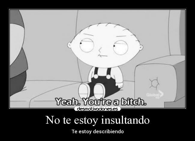 No te estoy insultando - Te estoy describiendo