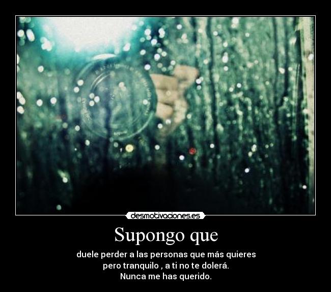 Supongo que - duele perder a las personas que más quieres
pero tranquilo , a ti no te dolerá.
Nunca me has querido.