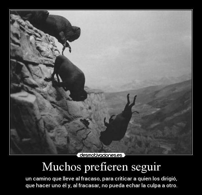 Muchos prefieren seguir - 
