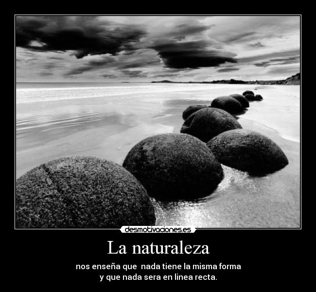 La naturaleza -