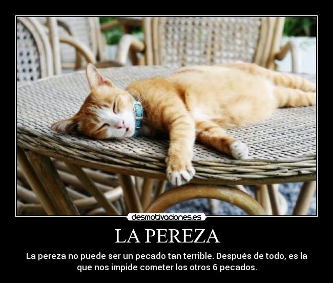 LA PEREZA -