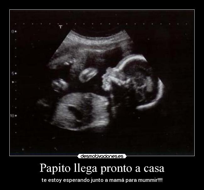 carteles casa lindo bebe desmotivaciones