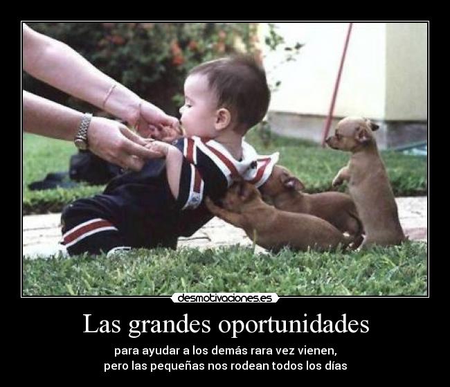 Las grandes oportunidades - 