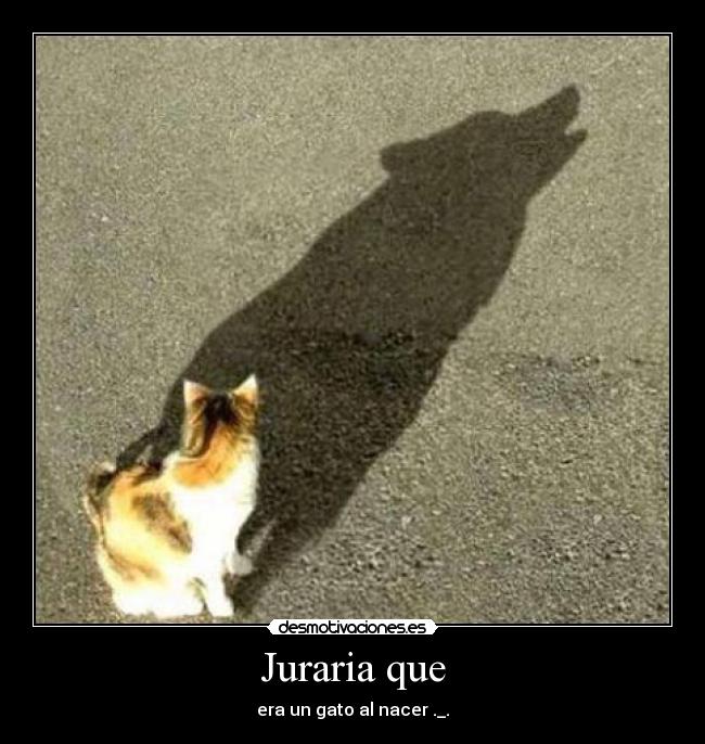 Juraria que - era un gato al nacer ._.