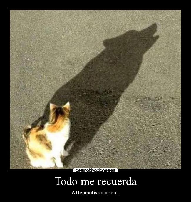 Todo me recuerda - A Desmotivaciones...