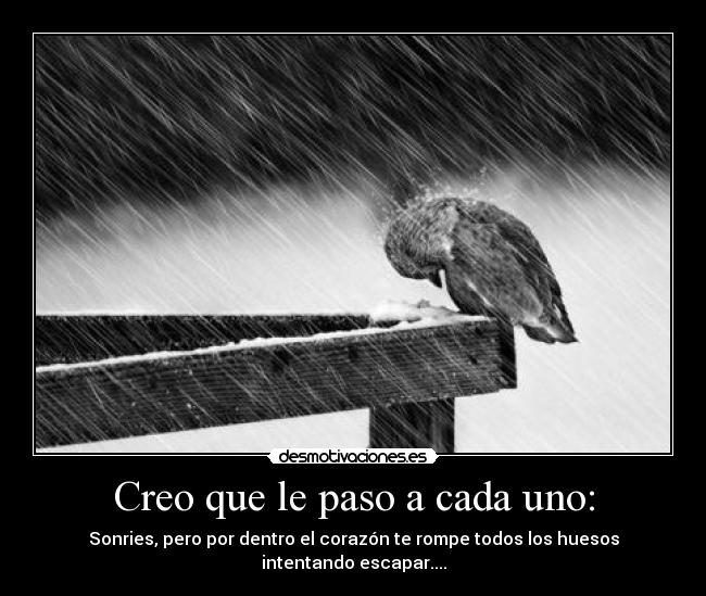 Creo que le paso a cada uno: - 