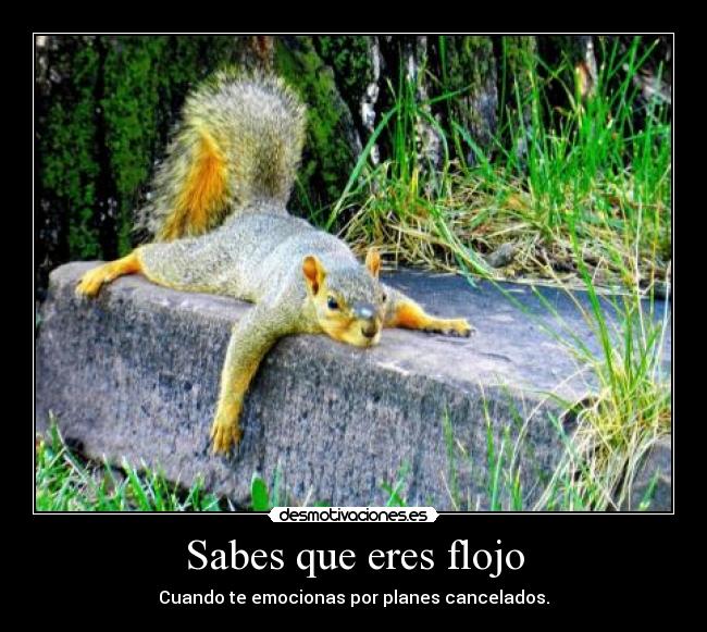 Sabes que eres flojo - Cuando te emocionas por planes cancelados.