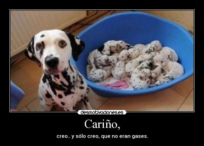 Cariño, - creo.. y sólo creo, que no eran gases.