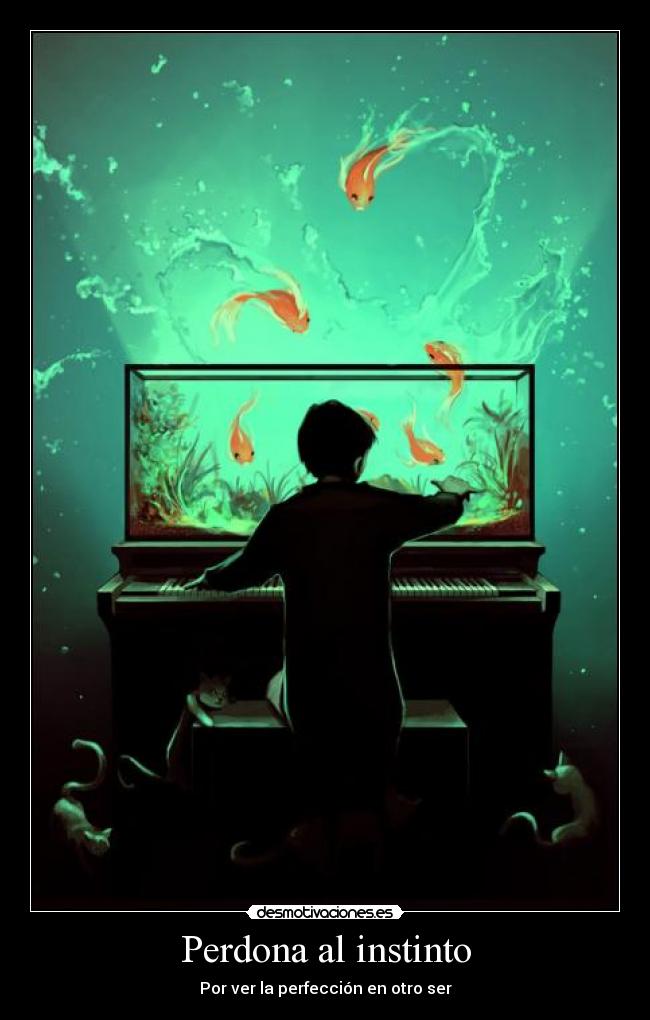 carteles amm desmotivaciones