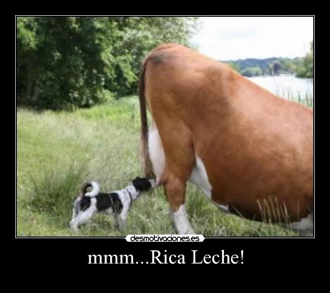 mmm...Rica Leche! -