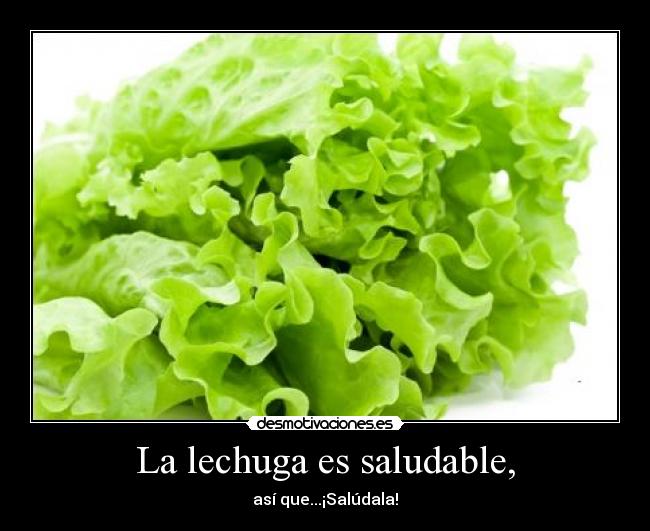 La lechuga es saludable, - así que...¡Salúdala!