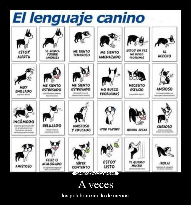 carteles lenguaje canino gestos desmotivaciones