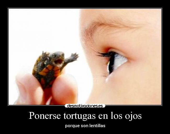 Ponerse tortugas en los ojos - porque son lentillas