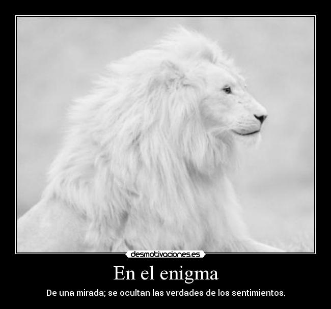 En el enigma -