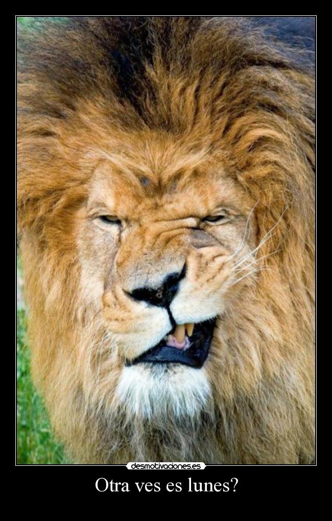 Otra ves es lunes? - 