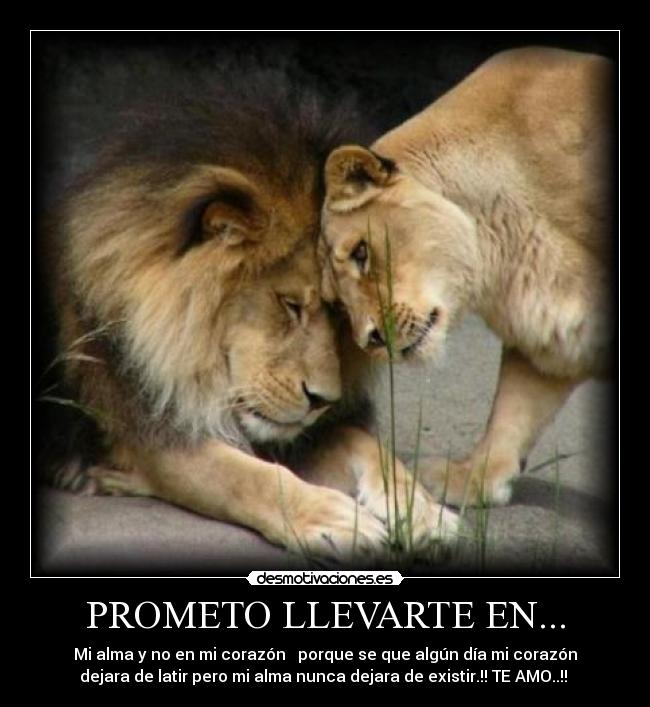PROMETO LLEVARTE EN... - Mi alma y no en mi corazón ♥ porque se que algún día mi corazón
dejara de latir pero mi alma nunca dejara de existir.!! TE AMO..!! ♥