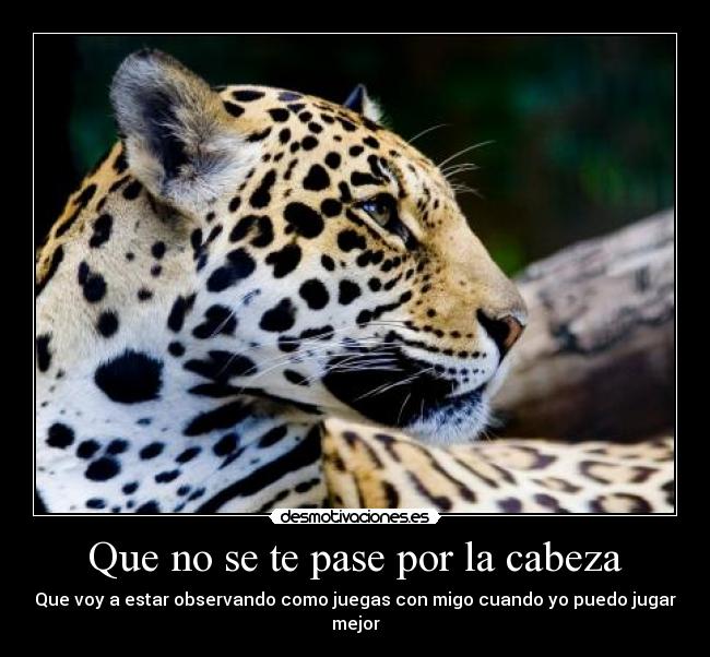 Que no se te pase por la cabeza -