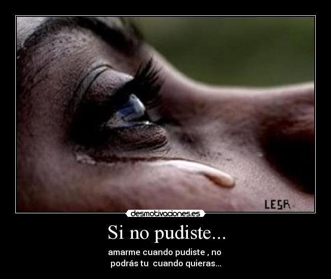 Si no pudiste... -