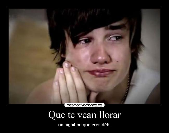 carteles llorar fergielovehim desmotivaciones