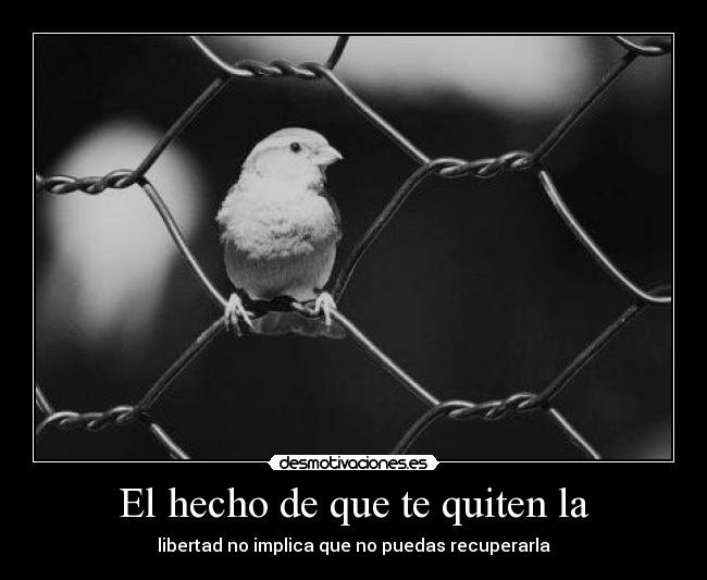 El hecho de que te quiten la - libertad no implica que no puedas recuperarla