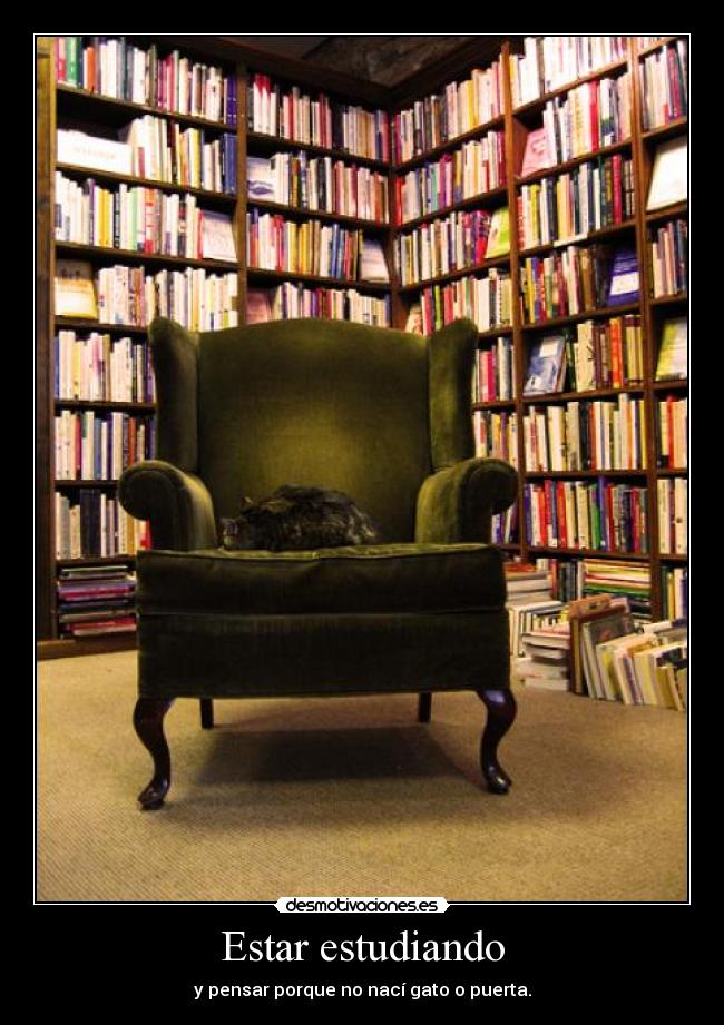 Estar estudiando -