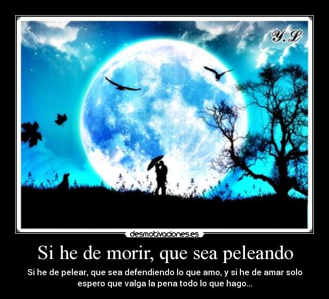 Si he de morir, que sea peleando - Si he de pelear, que sea defendiendo lo que amo, y si he de amar solo
espero que valga la pena todo lo que hago...