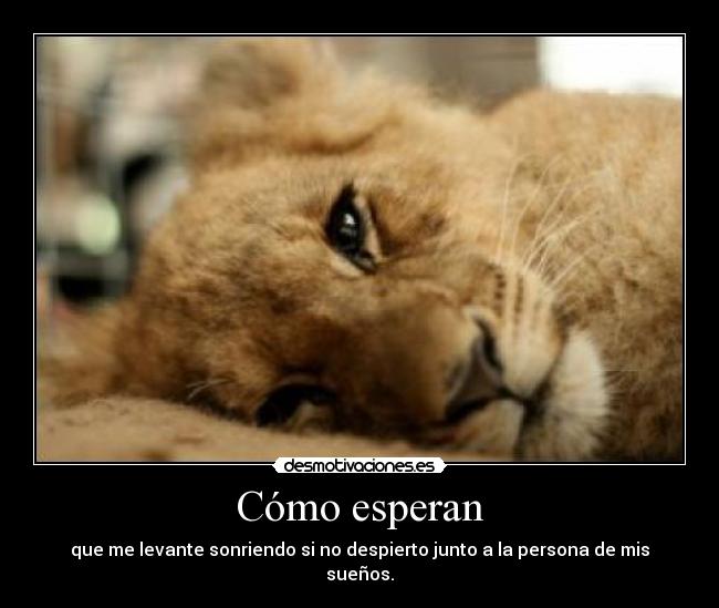 carteles desmopornositas noviembre dulce kale tontooo desmotivaciones