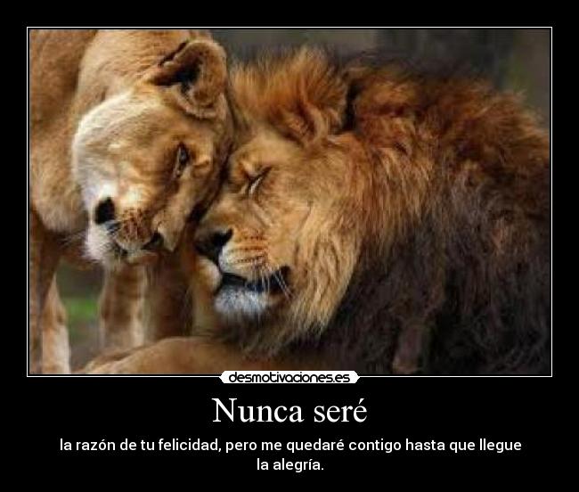 Nunca seré - 