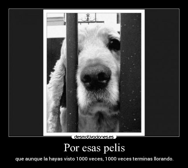 Por esas pelis - que aunque la hayas visto 1000 veces, 1000 veces terminas llorando.