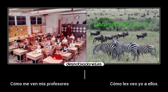 | - Cómo me ven mis profesores                                        Cómo les veo yo a ellos.