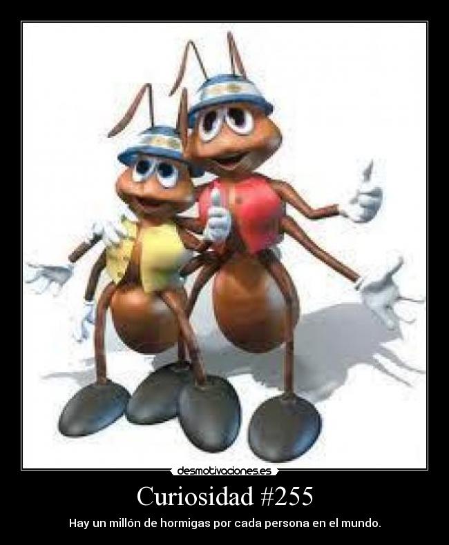 Curiosidad #255 - 