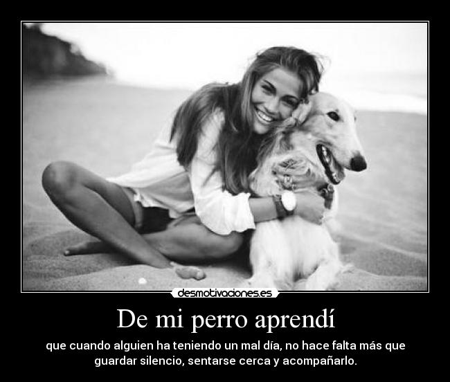 De mi perro aprendí - 