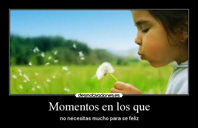 carteles wisserwi desmotivaciones