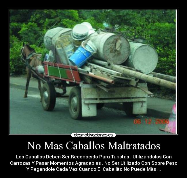 No Mas Caballos Maltratados - Los Caballos Deben Ser Reconocido Para Turistas . Utilizandolos Con
Carrozas Y Pasar Momentos Agradables . No Ser Utilizado Con Sobre Peso
Y Pegandole Cada Vez Cuando El Caballito No Puede Màs ...