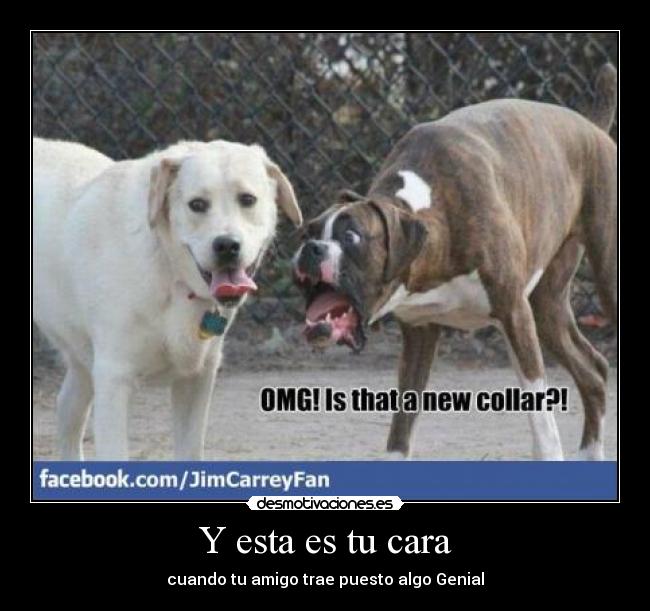 Y esta es tu cara - cuando tu amigo trae puesto algo Genial