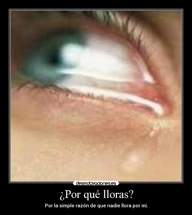 ¿Por qué lloras? - Por la simple razón de que nadie llora por mi.