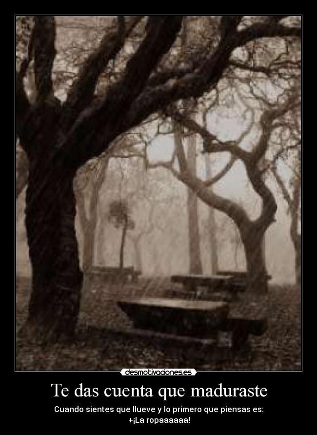 Te das cuenta que maduraste -