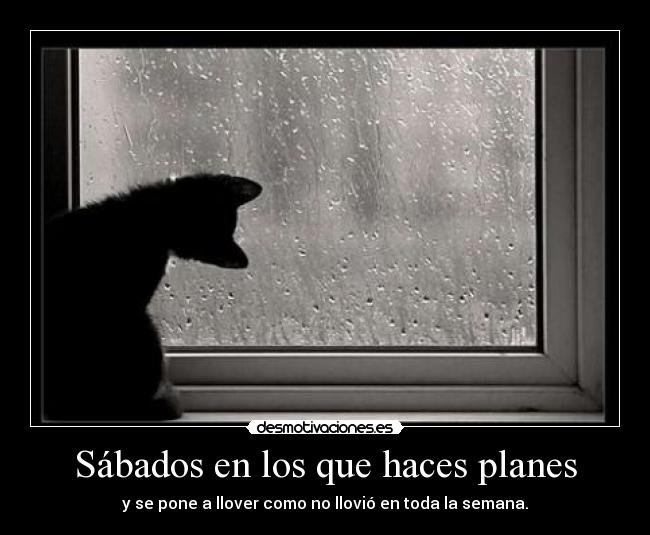 Sábados en los que haces planes - y se pone a llover como no llovió en toda la semana.