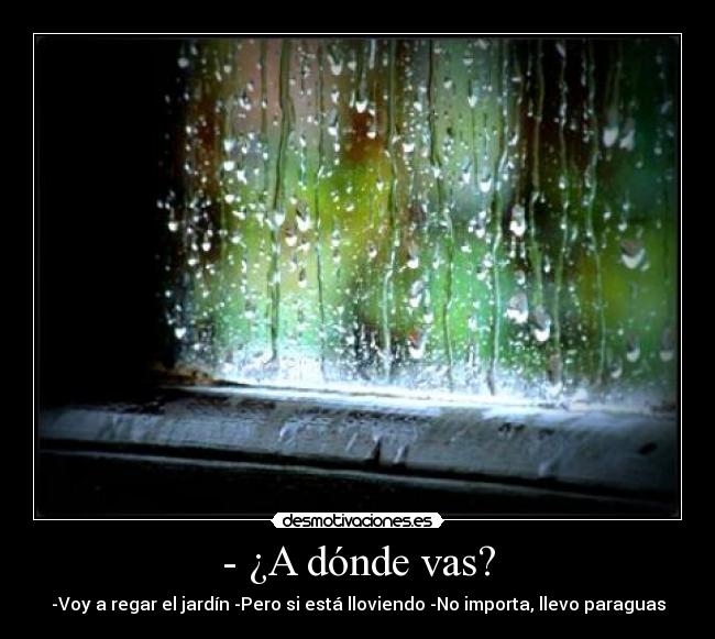 - ¿A dónde vas? - -Voy a regar el jardín -Pero si está lloviendo -No importa, llevo paraguas