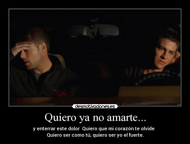 carteles shelter darwin amor suerte amistad desmotivaciones