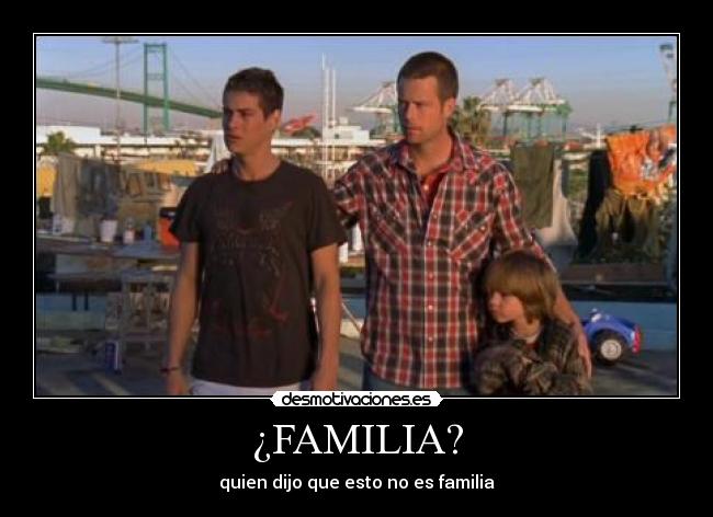 carteles familia shelter darwin amor suerte amistad desmotivaciones