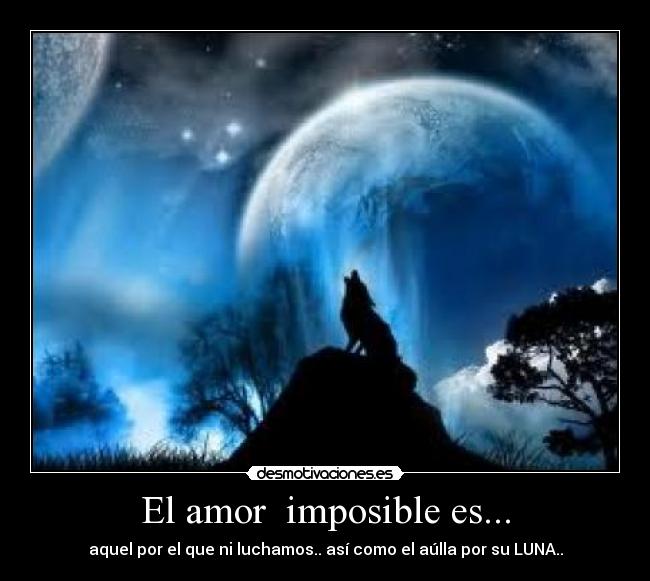 carteles amor imposible amor imposible desmotivaciones