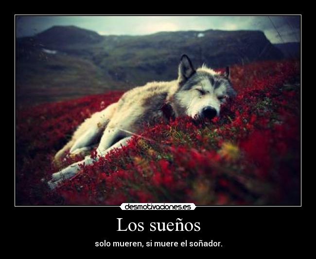 Los sueños - solo mueren, si muere el soñador.