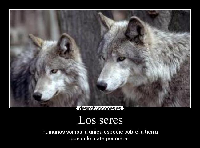 carteles luulytha22 desmotivaciones