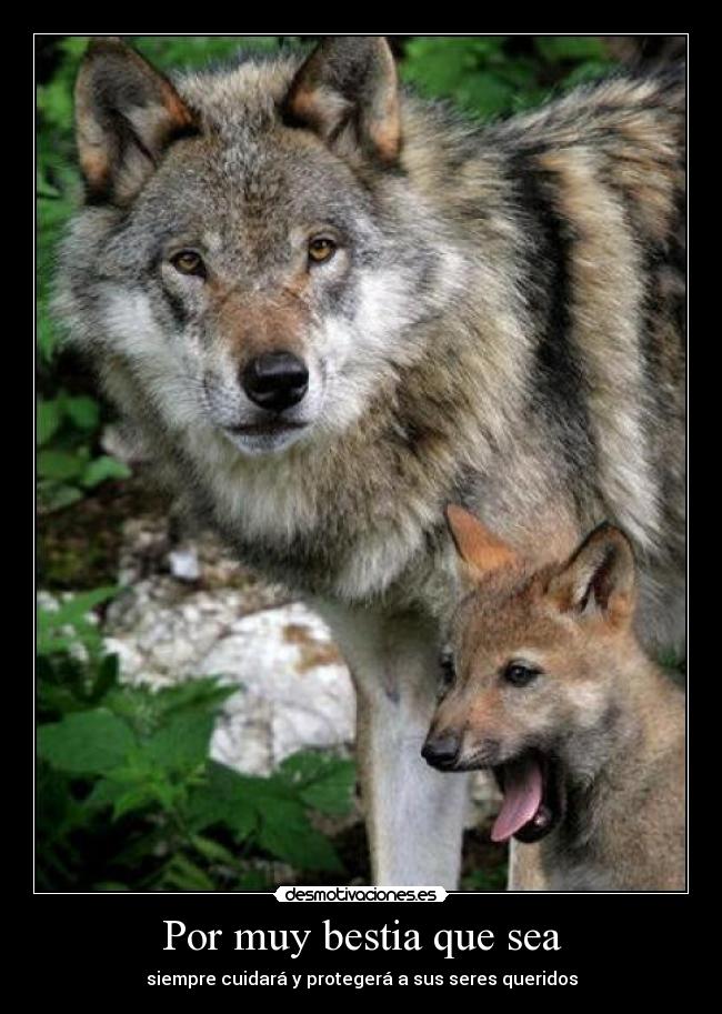 Por muy bestia que sea - siempre cuidará y protegerá a sus seres queridos