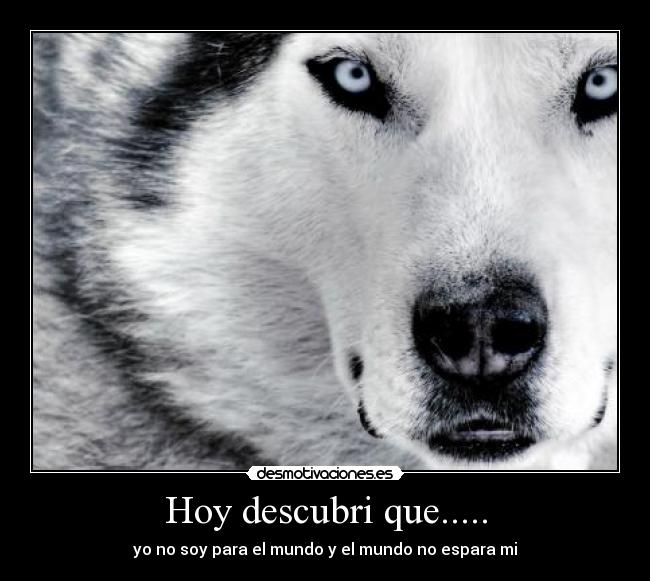 carteles solitario93 desmotivaciones