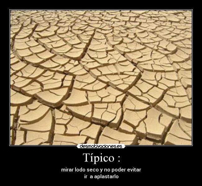 Típico : - mirar lodo seco y no poder evitar
ir a aplastarlo