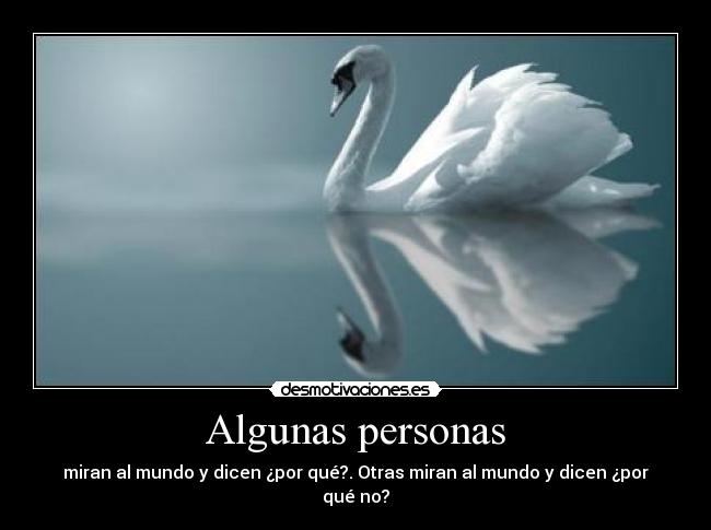 carteles dyna desmotivaciones